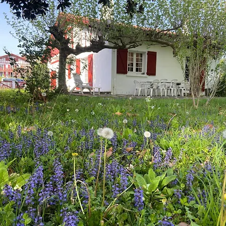 Maison Familiale Avec Jardin A Sare, Au Pied De La Rhune Sare