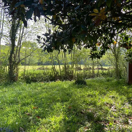 Maison Familiale Avec Jardin A Sare, Au Pied De La Rhune * Sare